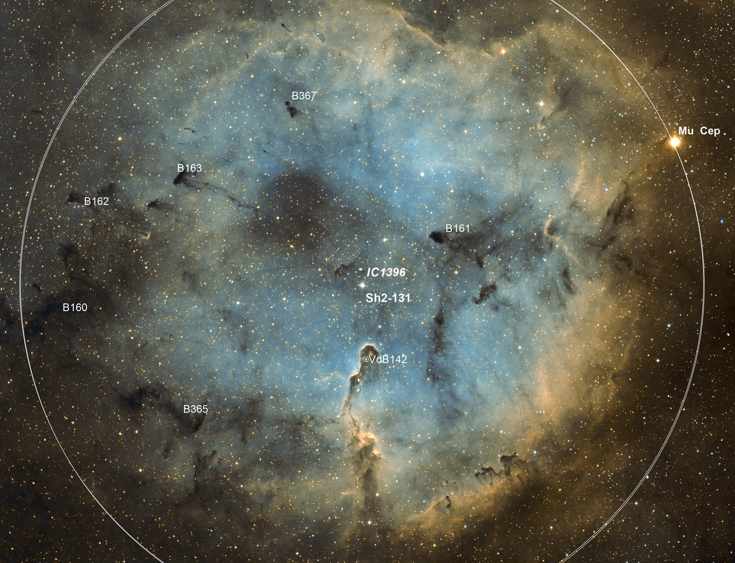 IC1396ahr