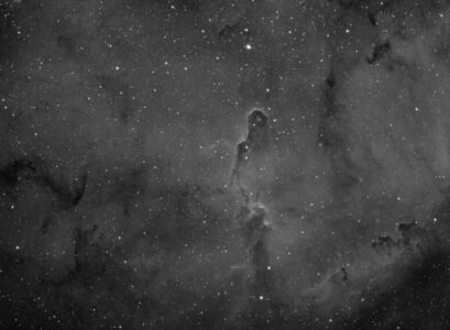 IC 1396, la Nébuleuse de la Trompe de l'Eléphant en Noir et Blanc (©2021, Julien Denis, saplimoges)