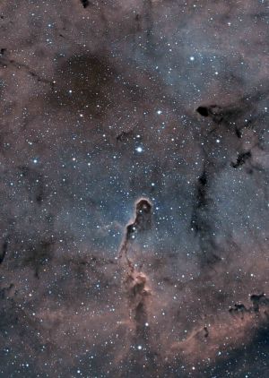 IC1396 La Nébuleuse de la Trompe d'Eléphant (©2016 Jean Pierre Debet, saplimoges)  