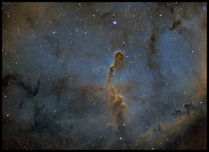 IC1396, la Nébuleuse de la Trompe de l'Eléphant, en vraies et fausses couleurs  (©2021, Julien Denis, saplimoges)