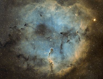 IC 1396 / Nébuleuse à émission (©2014 Christophe Mercier, saplimoges)