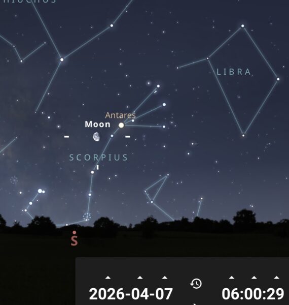 Le 7 avril à l’aube, la Lune illuminée de 77% tient compagnie à Antarès, du Scorpion.