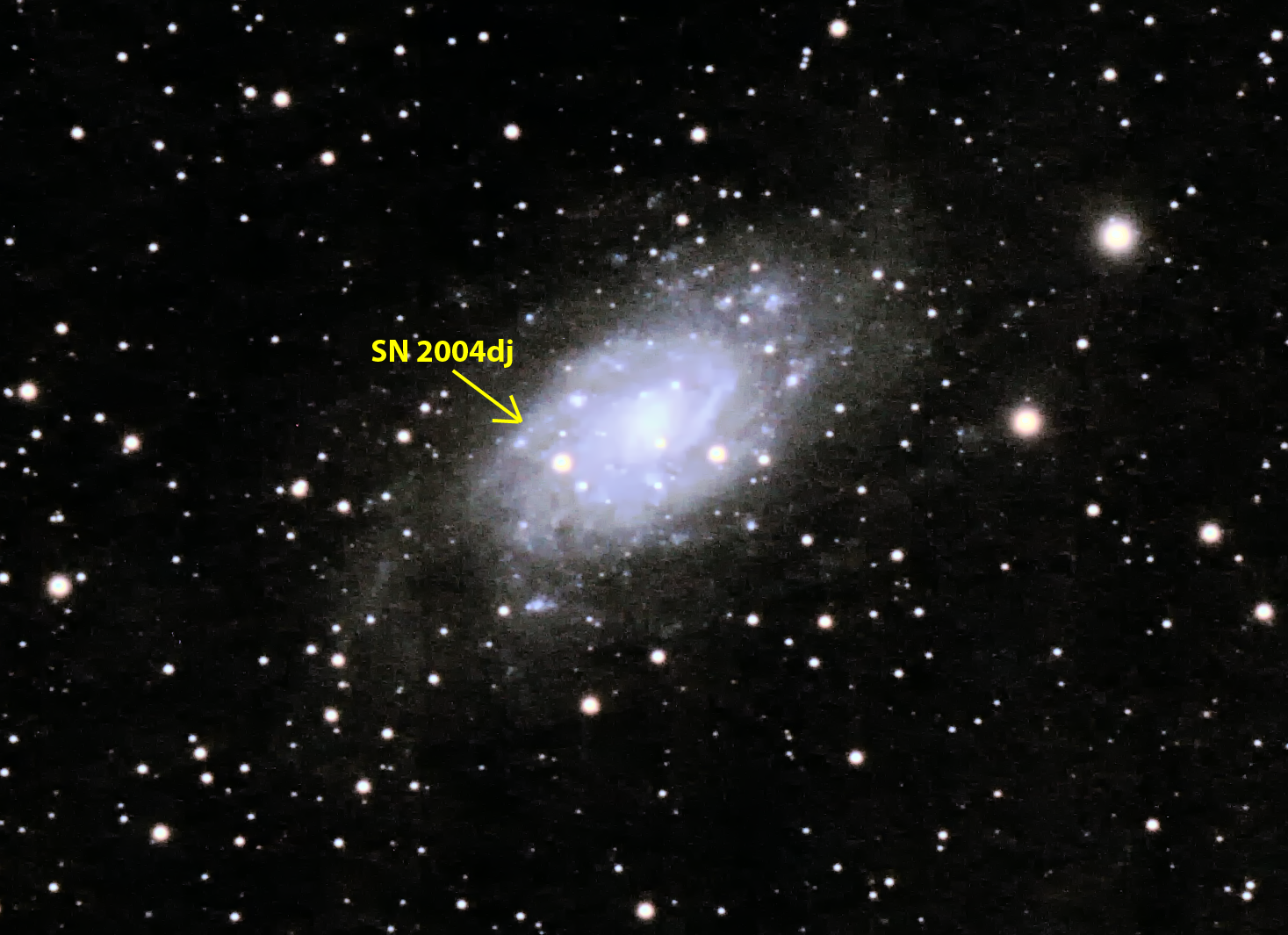 SN2004dj.png